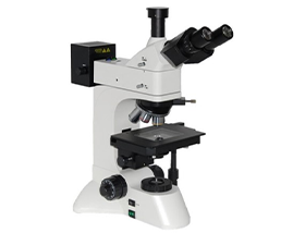 微分干涉相衬（DIC）显微镜